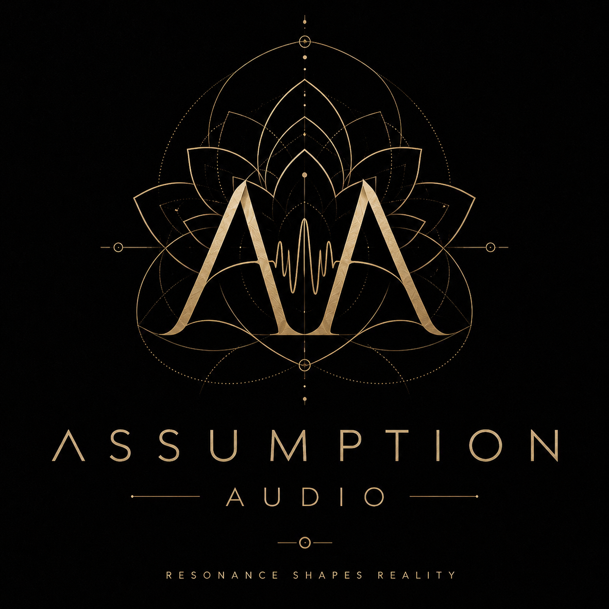 Assumption Audio Logo
